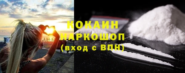 шишки Алексин