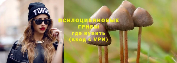 шишки Алексин