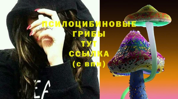 шишки Алексин