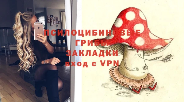 шишки Алексин