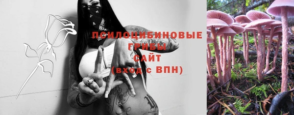 шишки Алексин