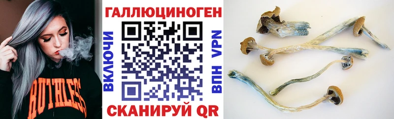 Псилоцибиновые грибы прущие грибы  Купить закладки  Кирс 
